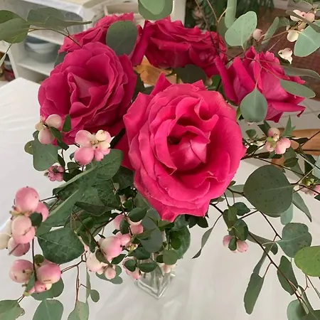 Capucine Accommodatie bij particulieren Noyen-sur-Sarthe