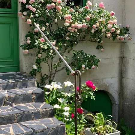 Capucine * Noyen-sur-Sarthe