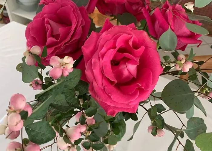 Capucine Alloggio in famiglia Noyen-sur-Sarthe