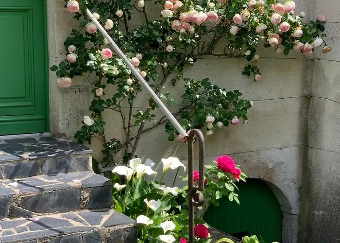 Capucine * Noyen-sur-Sarthe