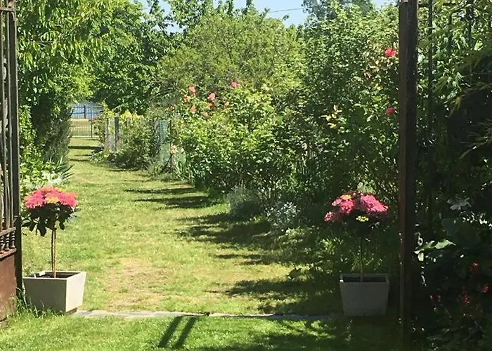 Capucine Alloggio in famiglia